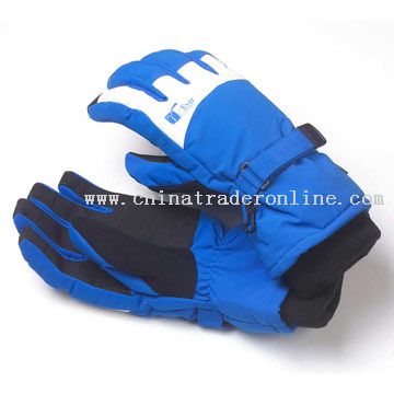 Ski Gloves from China